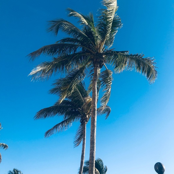 Meet your Posher, Jill - Picture 4 of 5